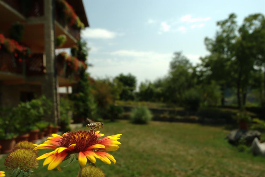 Guest House Nena Rastoke Slunj Dış mekan fotoğraf